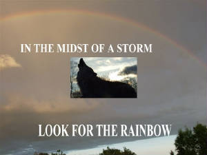rainbowtribute2.jpg